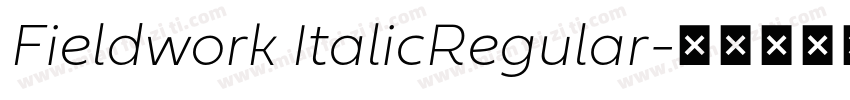 Fieldwork ItalicRegular字体转换